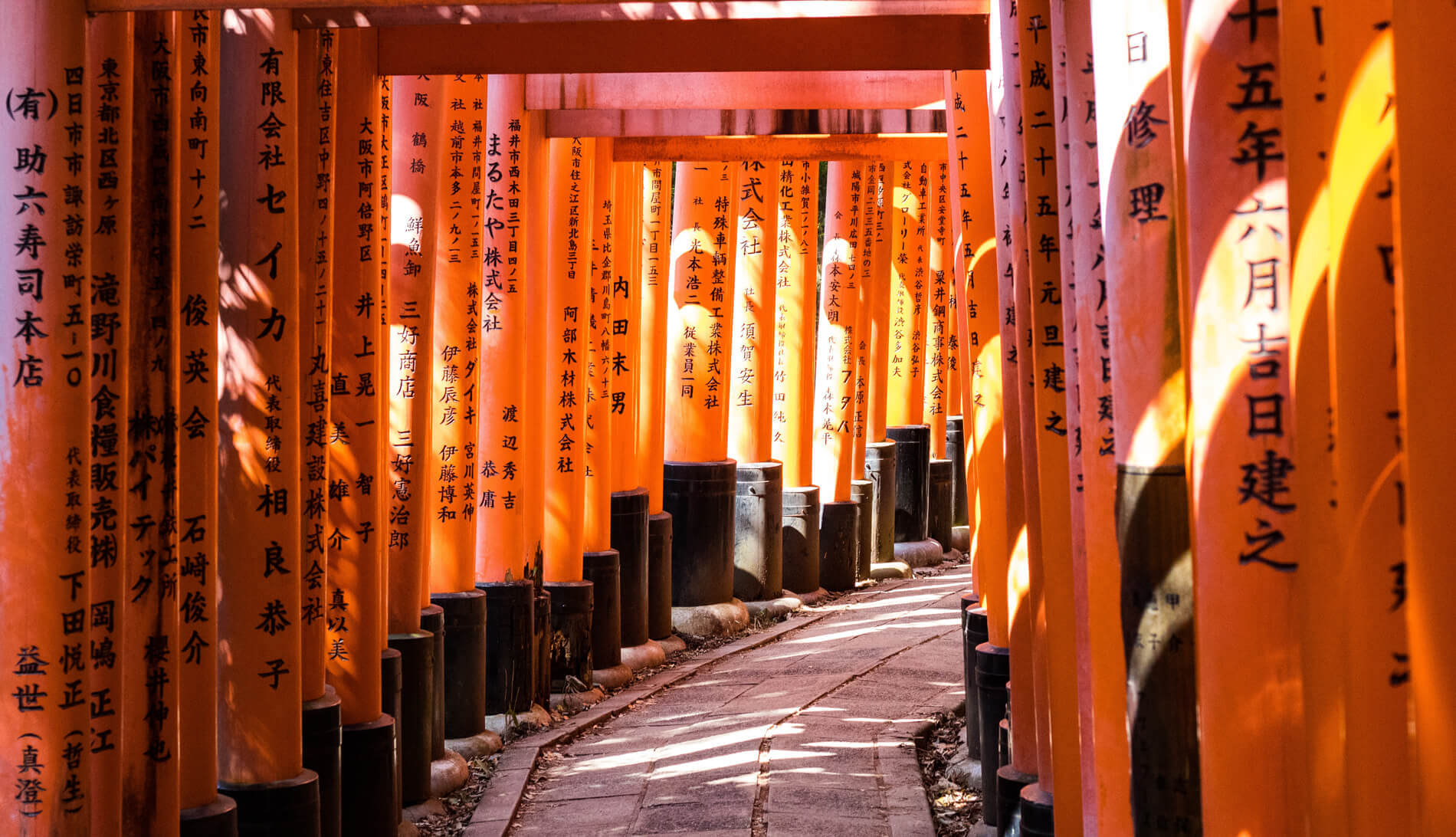 Vermillion torii gates of Fushimi Inari Taisha Shrine in Kyoto, Japan