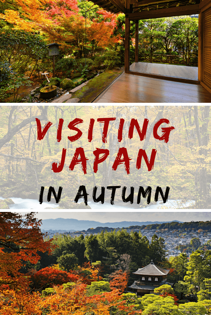 Fall in Japan, with its brilliant foliage, is stunningly beautiful. Here's a guide to help you get the most out of your autumn trip to Japan!